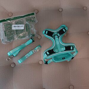 Bechtel dog harness + leash set